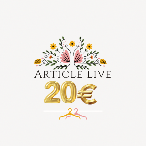 Article à 20€