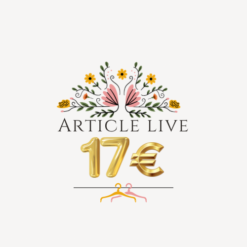 Article à 17€