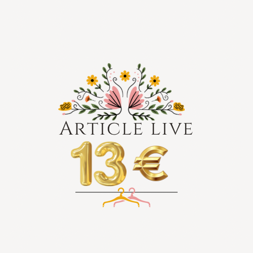 Article à 13€